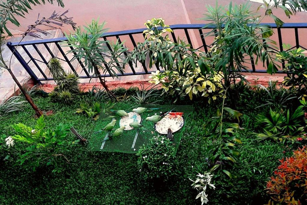 Saru Holiday Apartment - Upto 6 Guests Kandy Kültér fotó